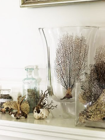 6. august neutrals habituallychic