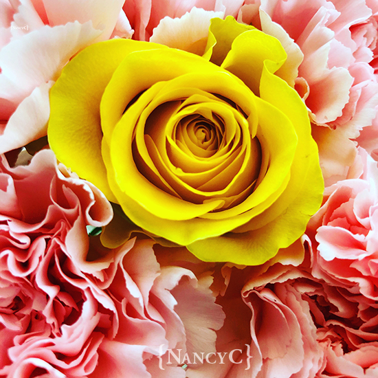 Mothers Day @ NancyC